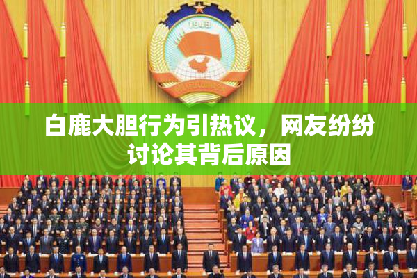 白鹿大胆行为引热议，网友纷纷讨论其背后原因