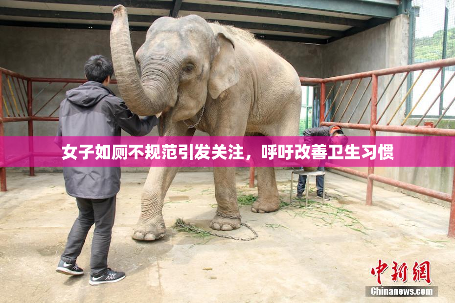 女子如厕不规范引发关注，呼吁改善卫生习惯