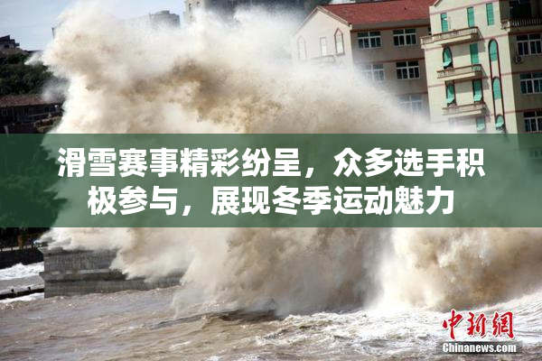滑雪赛事精彩纷呈，众多选手积极参与，展现冬季运动魅力