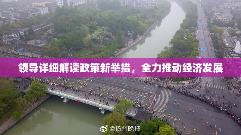 领导详细解读政策新举措，全力推动经济发展