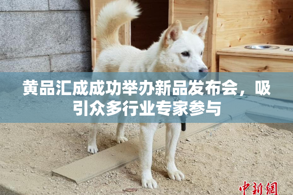 黄品汇成成功举办新品发布会，吸引众多行业专家参与