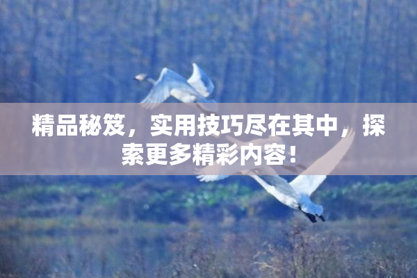 精品秘笈，实用技巧尽在其中，探索更多精彩内容！