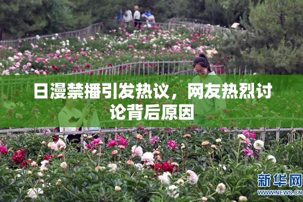 日漫禁播引发热议，网友热烈讨论背后原因