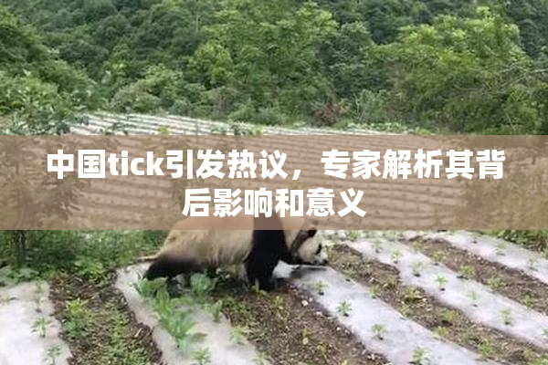 中国tick引发热议，专家解析其背后影响和意义