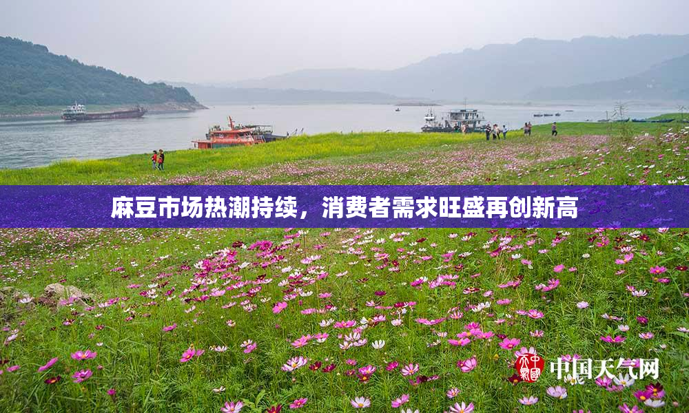 麻豆市场热潮持续，消费者需求旺盛再创新高