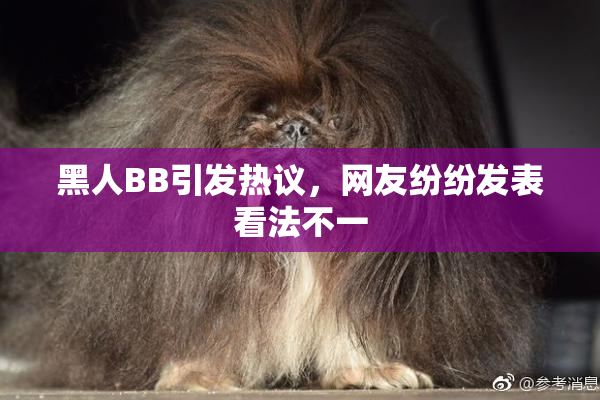 黑人BB引发热议，网友纷纷发表看法不一
