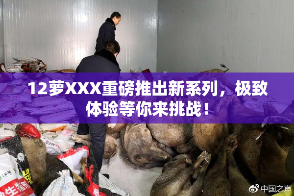 12萝XXX重磅推出新系列，极致体验等你来挑战！
