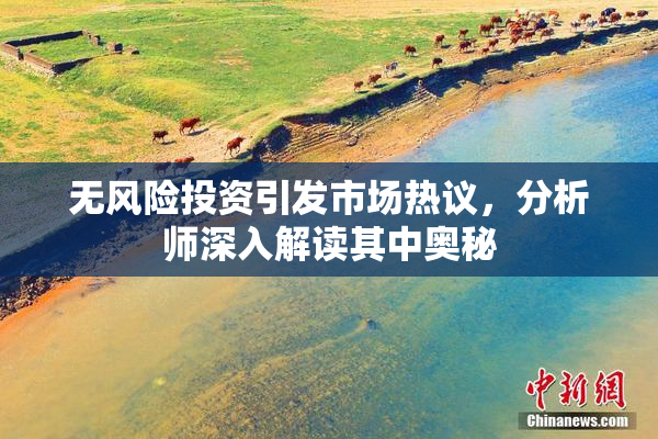无风险投资引发市场热议，分析师深入解读其中奥秘