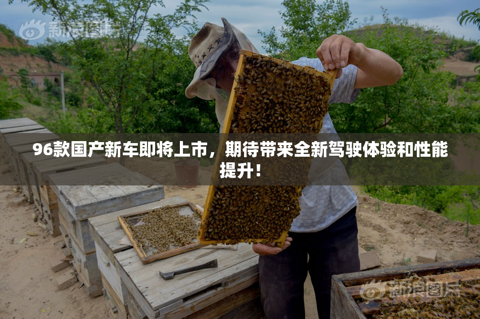 96款国产新车即将上市，期待带来全新驾驶体验和性能提升！