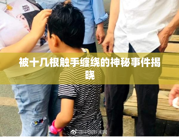 被十几根触手缠绕的神秘事件揭晓