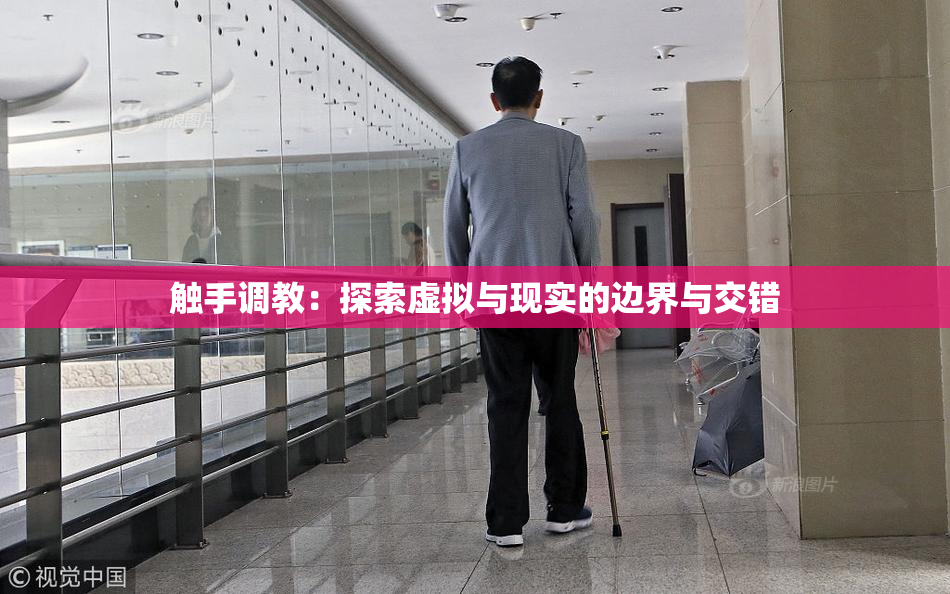 触手调教：探索虚拟与现实的边界与交错