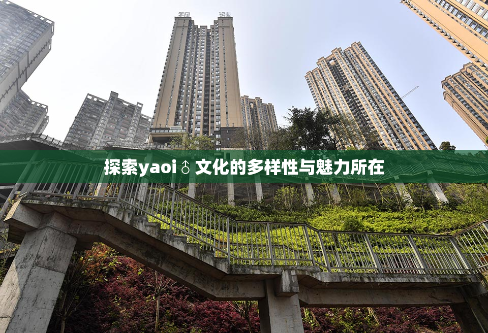 探索yaoi♂文化的多样性与魅力所在