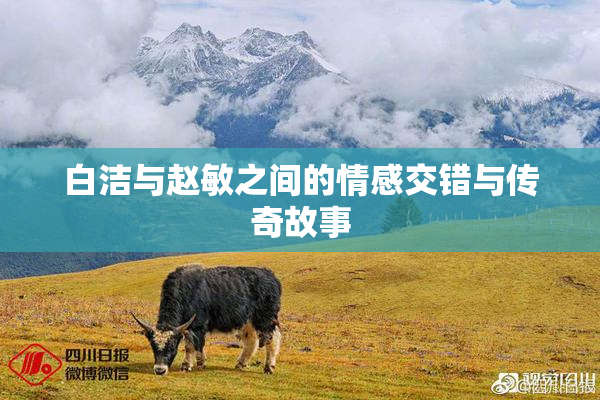 白洁与赵敏之间的情感交错与传奇故事