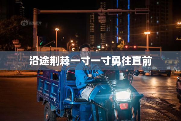 沿途荆棘一寸一寸勇往直前