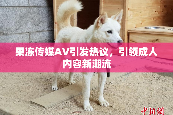 果冻传媒AV引发热议，引领成人内容新潮流
