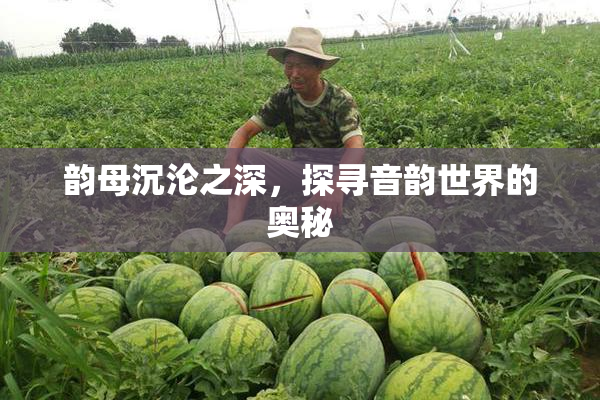 韵母沉沦之深，探寻音韵世界的奥秘