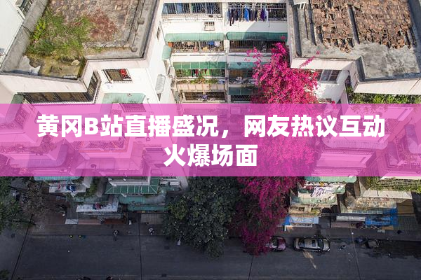 黄冈B站直播盛况，网友热议互动火爆场面