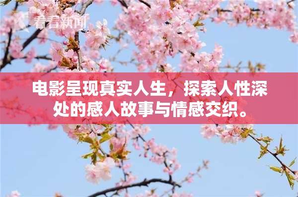 电影呈现真实人生，探索人性深处的感人故事与情感交织。
