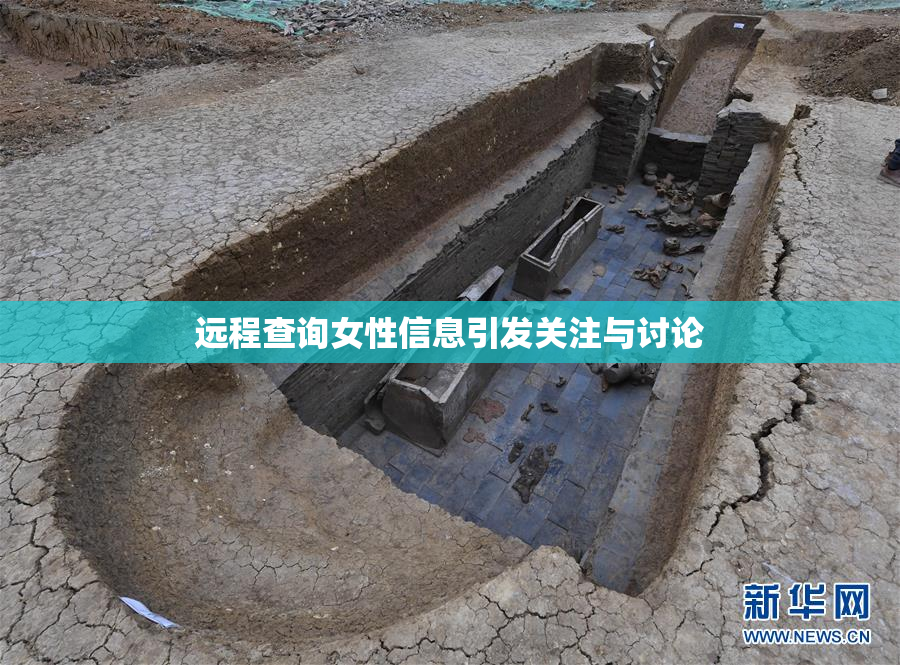 远程查询女性信息引发关注与讨论