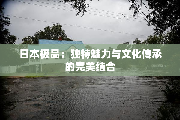 日本极品：独特魅力与文化传承的完美结合
