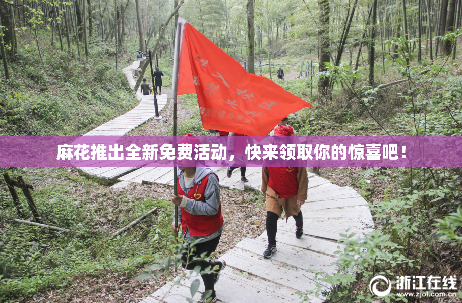 麻花推出全新免费活动，快来领取你的惊喜吧！