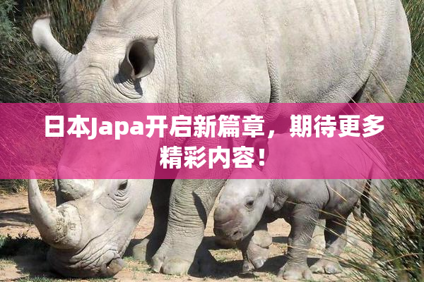 日本Japa开启新篇章，期待更多精彩内容！