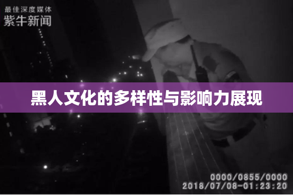 黑人文化的多样性与影响力展现