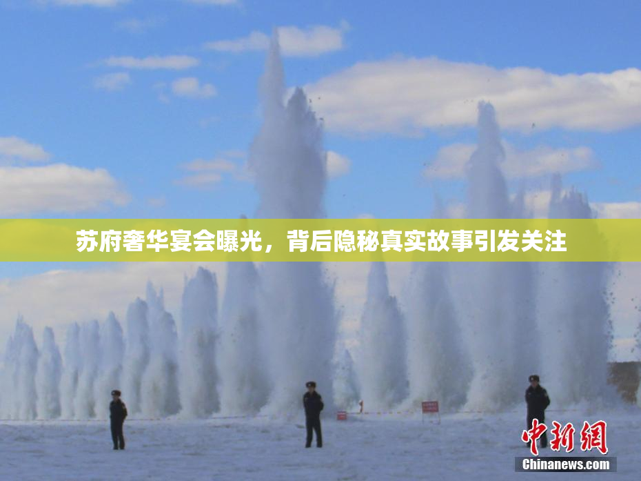 苏府奢华宴会曝光，背后隐秘真实故事引发关注