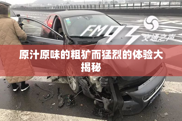 原汁原味的粗犷而猛烈的体验大揭秘