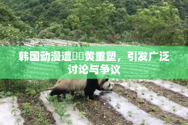 韩国动漫遭❌‌黄重塑，引发广泛讨论与争议