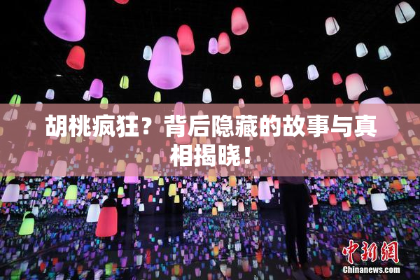 胡桃疯狂？背后隐藏的故事与真相揭晓！