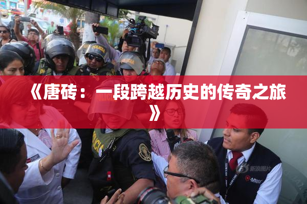 《唐砖：一段跨越历史的传奇之旅》