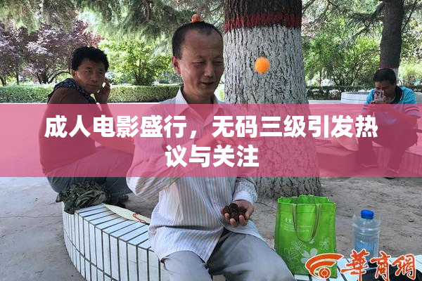 成人电影盛行，无码三级引发热议与关注