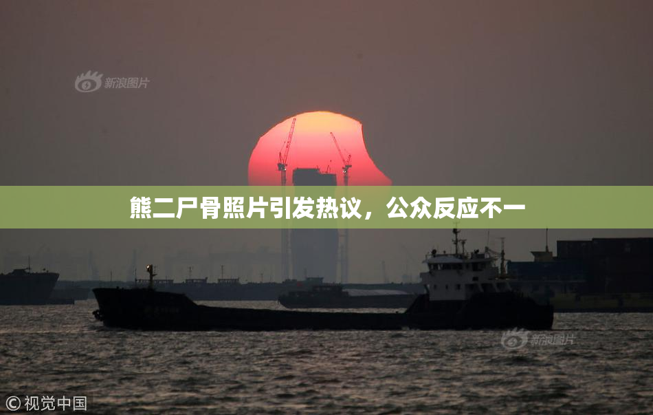 熊二尸骨照片引发热议，公众反应不一