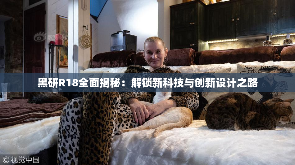 黑研R18全面揭秘：解锁新科技与创新设计之路