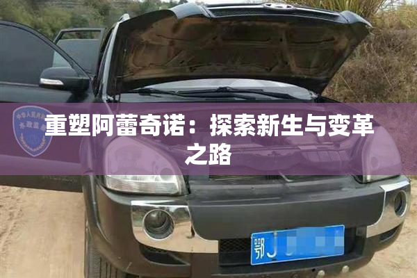 重塑阿蕾奇诺：探索新生与变革之路