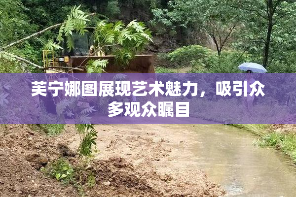 芙宁娜图展现艺术魅力，吸引众多观众瞩目