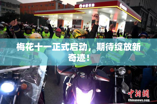 梅花十一正式启动，期待绽放新奇迹！