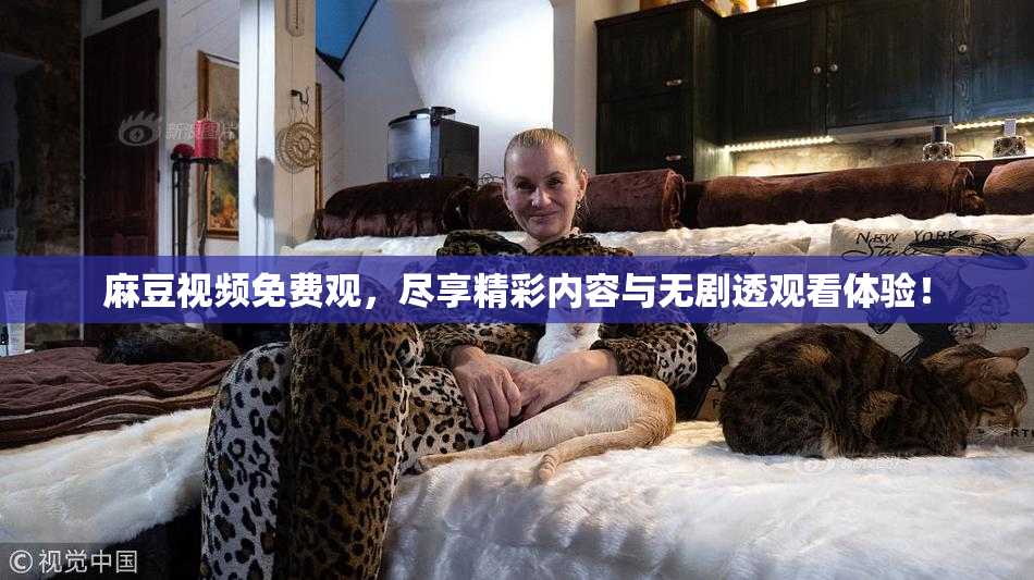 麻豆视频免费观，尽享精彩内容与无剧透观看体验！