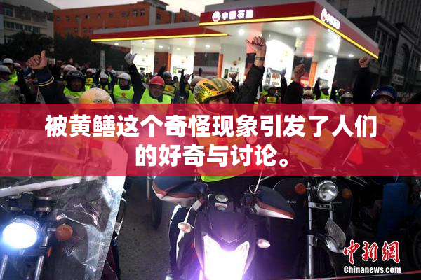 被黄鳝这个奇怪现象引发了人们的好奇与讨论。