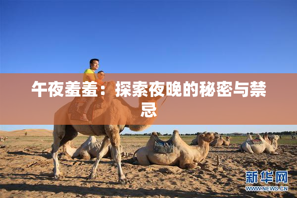 午夜羞羞：探索夜晚的秘密与禁忌