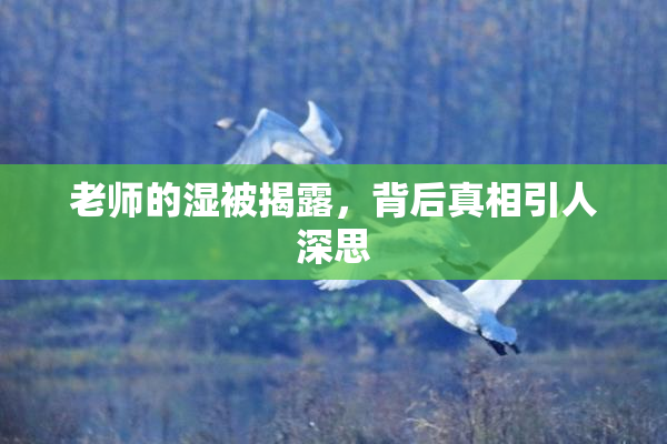 老师的湿被揭露，背后真相引人深思