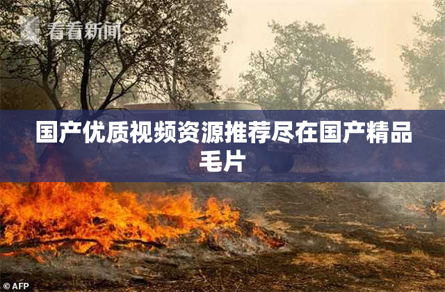 国产优质视频资源推荐尽在国产精品毛片