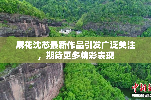 麻花沈芯最新作品引发广泛关注，期待更多精彩表现