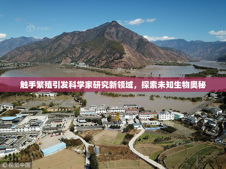 触手繁殖引发科学家研究新领域，探索未知生物奥秘