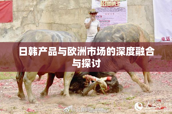 日韩产品与欧洲市场的深度融合与探讨