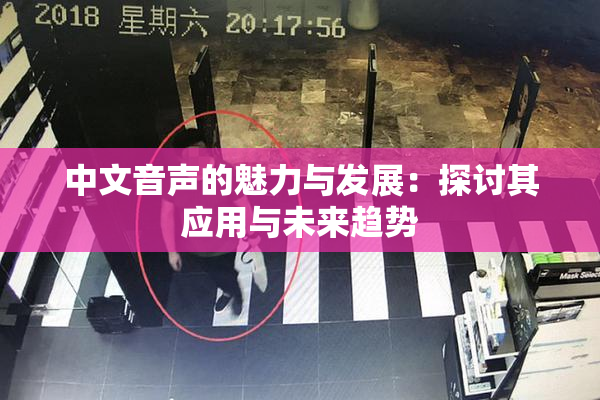 中文音声的魅力与发展：探讨其应用与未来趋势