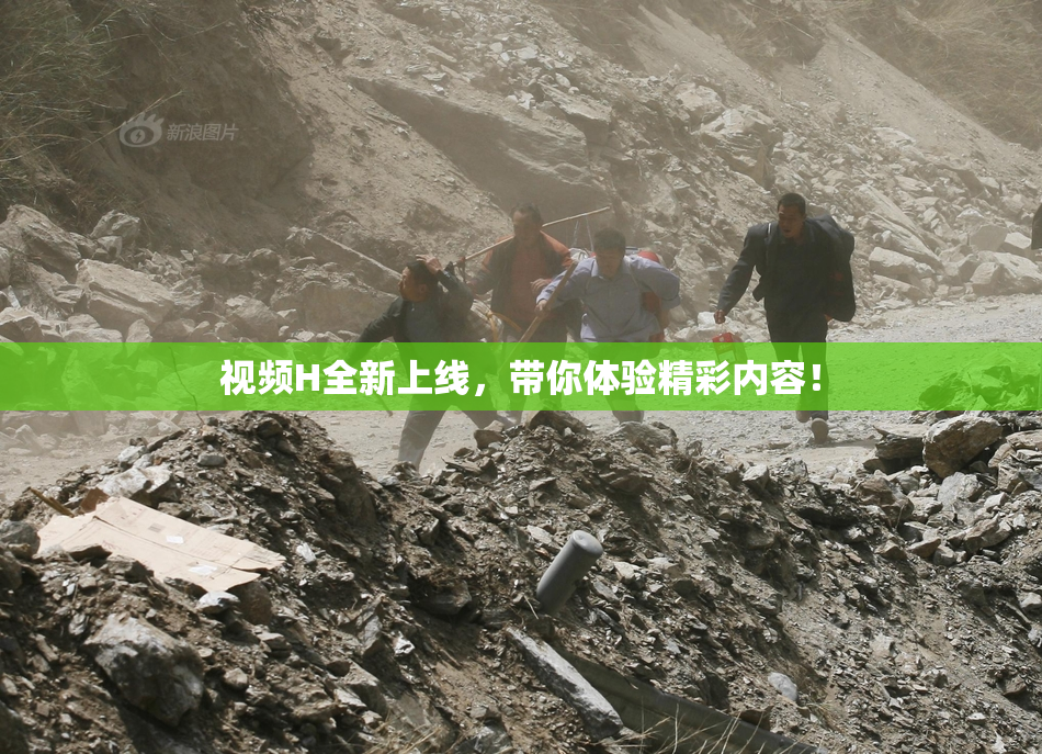 视频H全新上线，带你体验精彩内容！