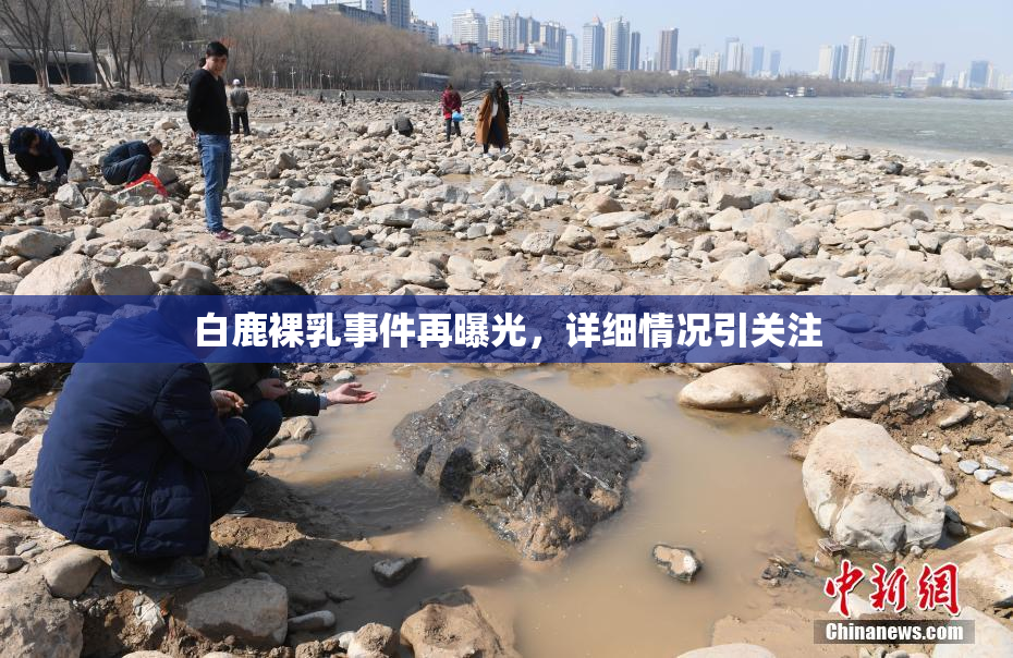 白鹿裸乳事件再曝光，详细情况引关注