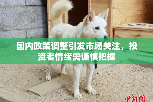 国内政策调整引发市场关注，投资者情绪需谨慎把握
